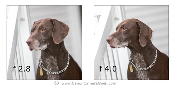 Canon 70-200 f2.8 vs f 4.0 comparison