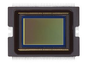 photo of Canon 70D sensor