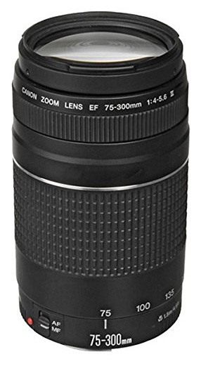 canon EF 75-300mm Zoom Lens