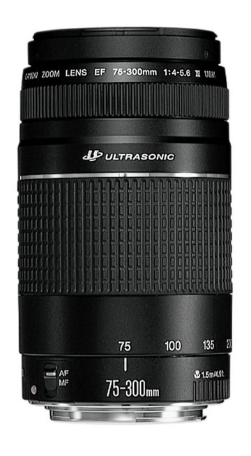 Canon 75-300mm Lens