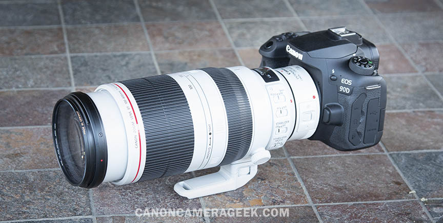 canon 100 400mm ii with 1.4 extender