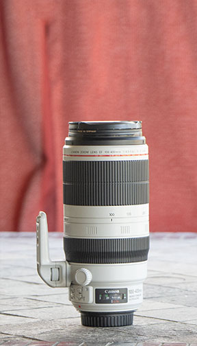 Canon EF 100-400mm Lens