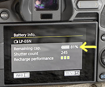 Canon EOS R remaining battery life