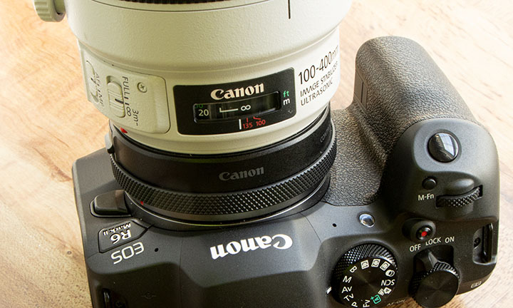 Canon R6 Mark II with EF 100-400mm lens