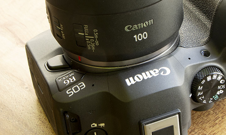 Canon R6 Mark II with EF 100mm macro lens