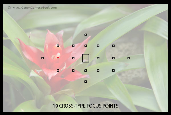 Canon EOS 70D 19 point cross-type focusing