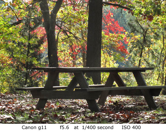 Canon g11 photo sample fall foliage