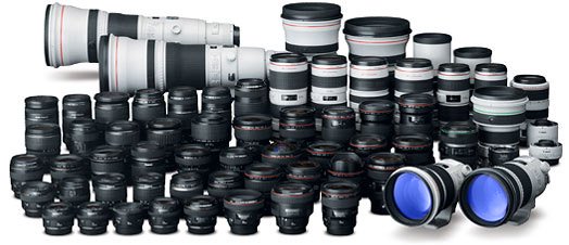 Large collection of Canon lenses.