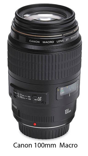 Canon 100mm Macro Lens