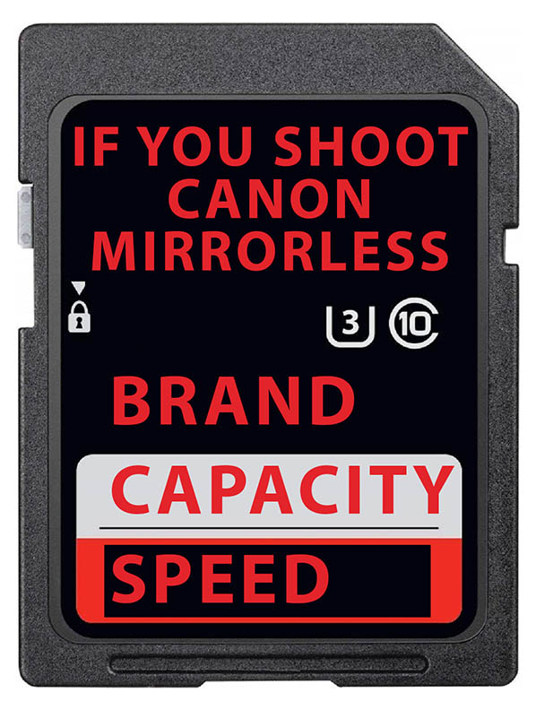 Canon mirrorless memory card