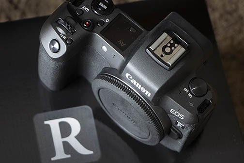 canon r camera