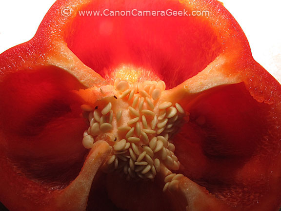 Macro photography with Canon Speedlite 270EX II without Bounce Lighting