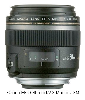 Canon EF-S 60 f2.8 macro lens for Canon
