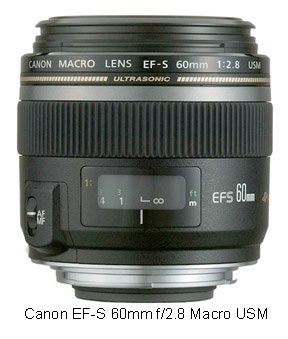 More affordable than the 100mm macro, this 60mm macro can also give you great shots with the T3i