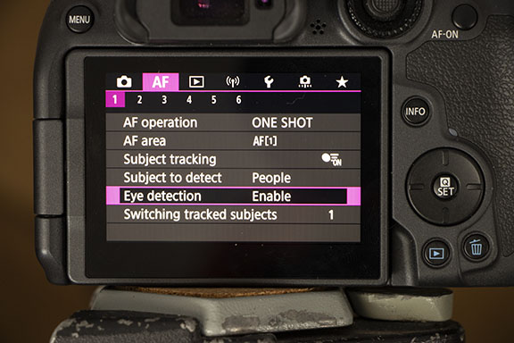 Enable eye detection on R7