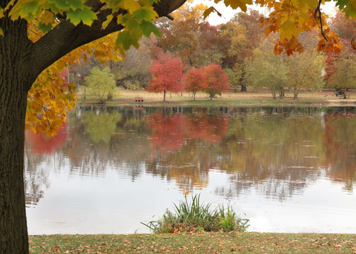 Fall colors-70D Photo 2