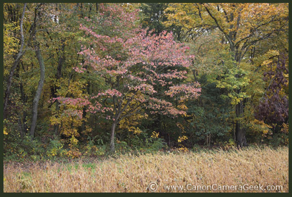 Fall-nature photo take with Canon 5d Markiii