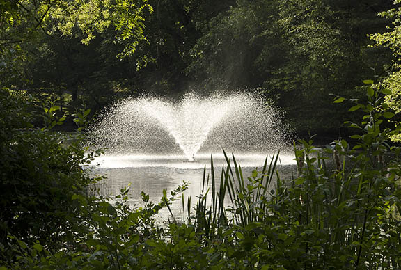 Water fountain