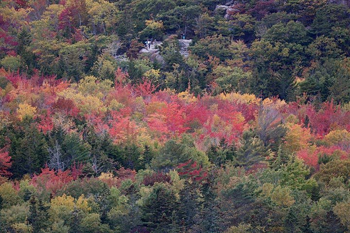 Landscape at 100mm