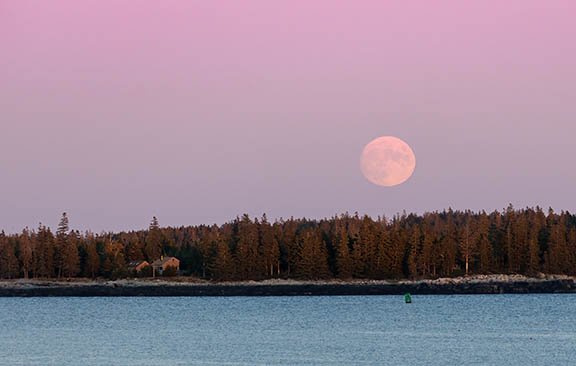 Moonrise at Sunset