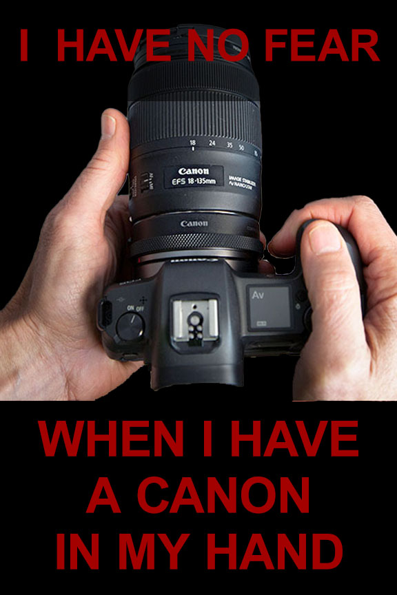 Canon in hand quotation