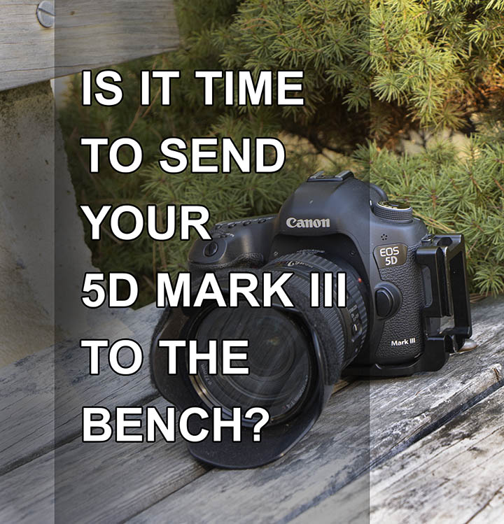 5D Mark III on the bench