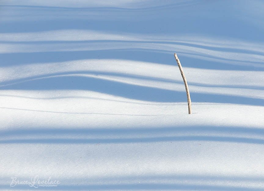 stick in the snow