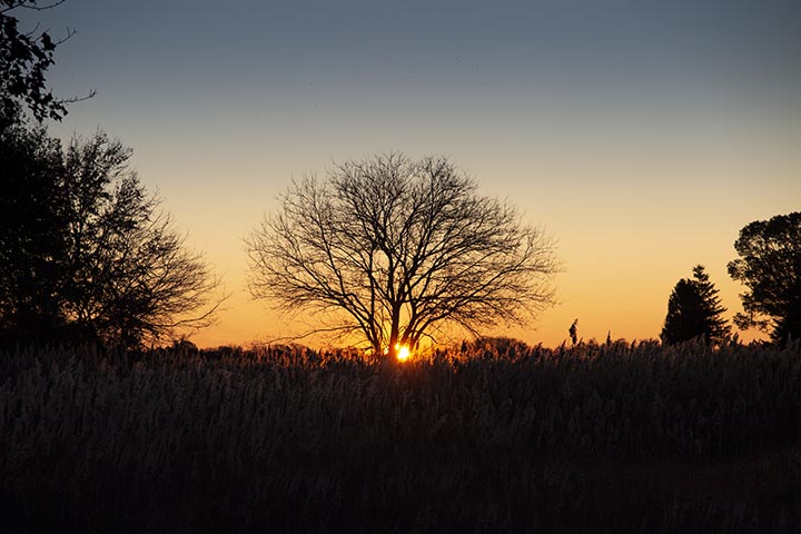 Sunrise Silhouette Photos