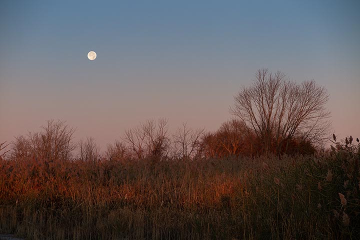 Salem NJ Moon