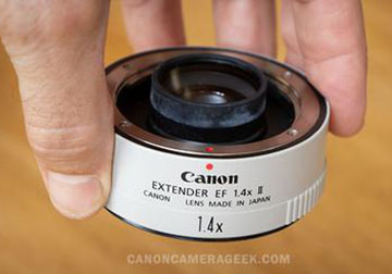 They sound the same, but they're very different. Helpful comparison of Canon Teleconverter and extension tubes.