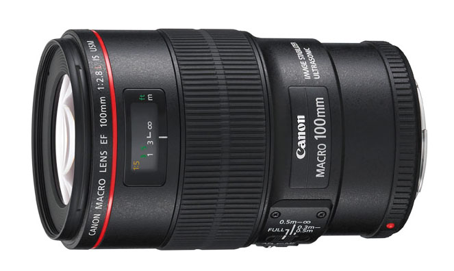 Canon 100mm macro lens