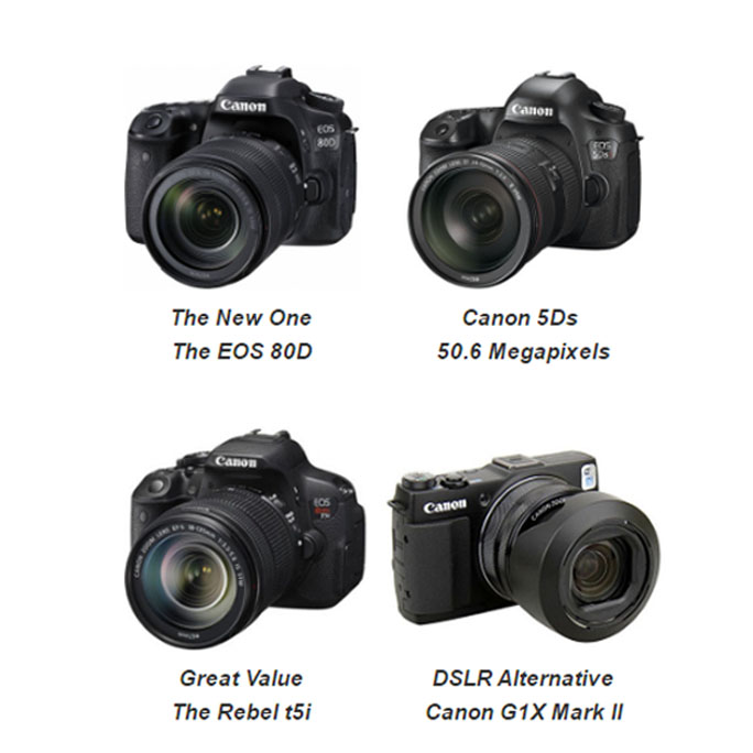 Comparison photo of 4 Best Canon DSLR Cameras