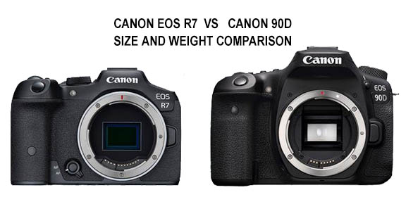 Canon EOS R7 VS Canon 90D size comparison