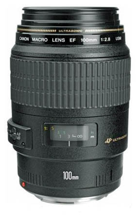 Canon starter macro lens