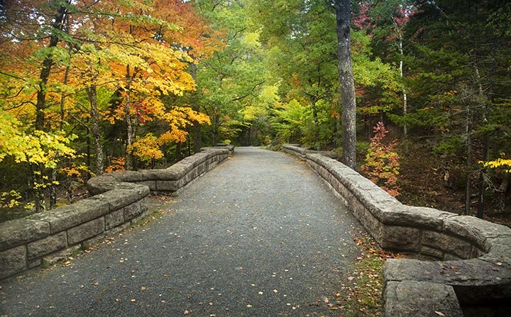 Bridge Landscape