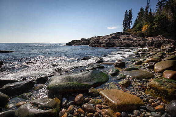 Acadia landscape example