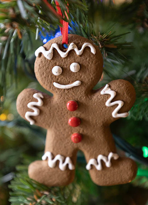 Gingerbread man up close