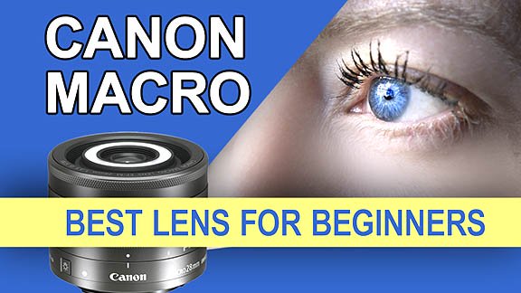 Page header for Canon macro lens for beginners