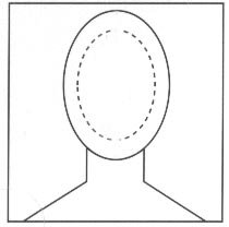 In Camera Composition Guideline