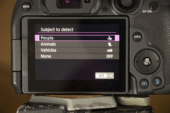 Select people, animals, or vehicles Select people, animals, or vehicles