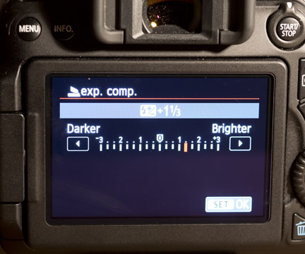 exposure compensation display