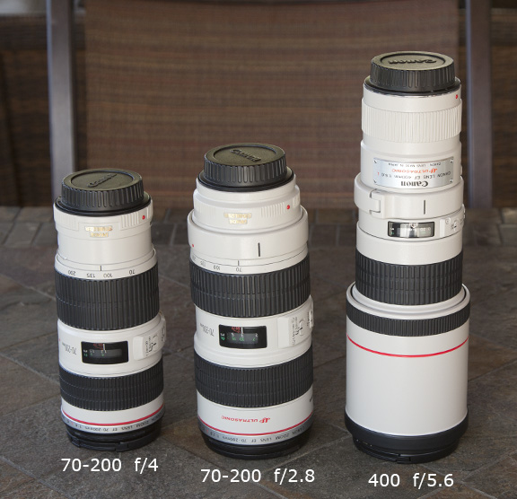 Size comparison-Canon EF 70-200 f/4.0 - 70-200 f/2.8 and 400 f/5.6