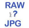 Raw versus jpg