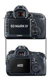 Canon 5D Mark IV vs Canon 60D Size Comparison