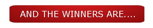 Top Canon DSLR camera winners banner