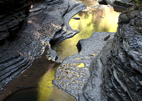 Watkins Glen Fall Color Reflection